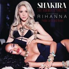 Can't Remember To Forget You(Feat. Rihanna)